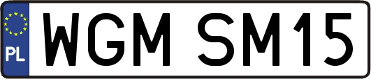 WGMSM15