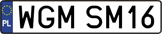WGMSM16