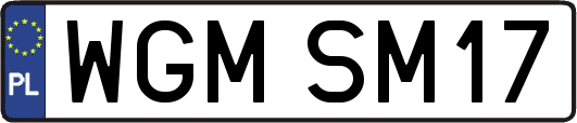 WGMSM17