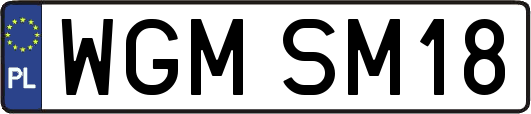 WGMSM18