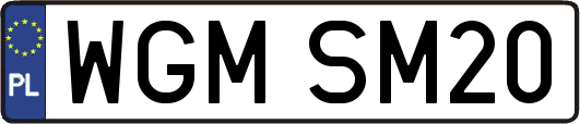 WGMSM20