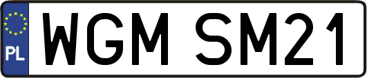 WGMSM21