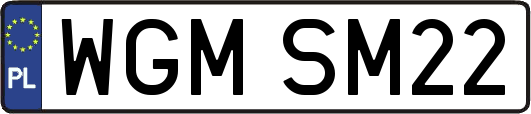 WGMSM22