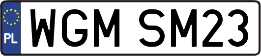 WGMSM23