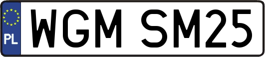 WGMSM25