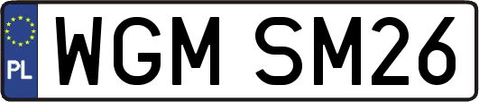 WGMSM26