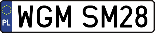 WGMSM28