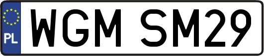 WGMSM29