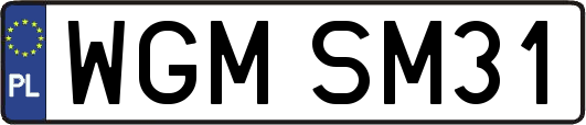 WGMSM31