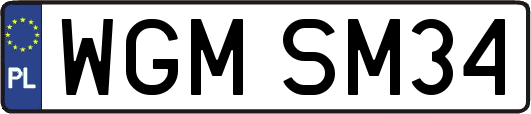 WGMSM34