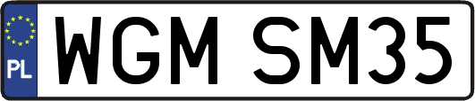 WGMSM35