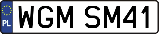 WGMSM41