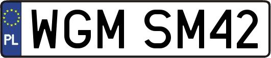 WGMSM42