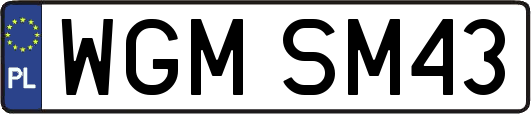 WGMSM43