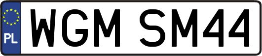 WGMSM44