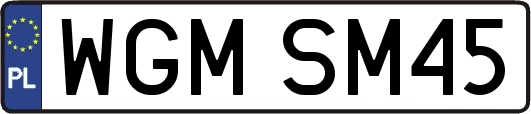 WGMSM45
