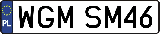 WGMSM46