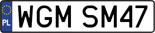 WGMSM47