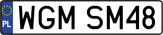 WGMSM48