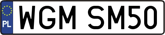 WGMSM50