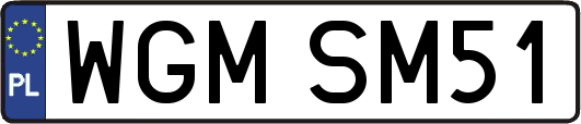WGMSM51