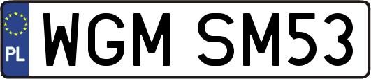 WGMSM53