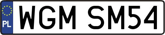 WGMSM54