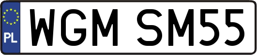 WGMSM55