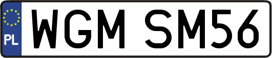 WGMSM56