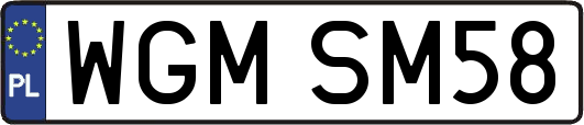 WGMSM58