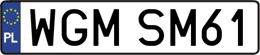 WGMSM61