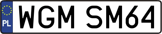 WGMSM64