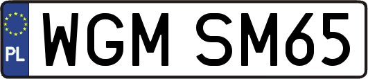 WGMSM65