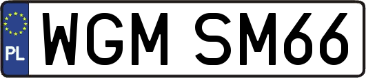 WGMSM66
