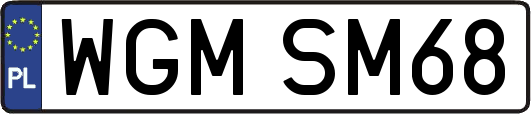 WGMSM68