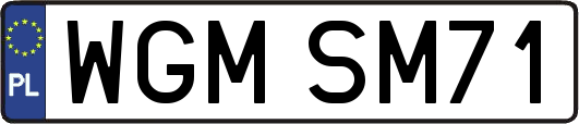 WGMSM71