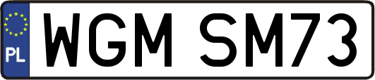 WGMSM73