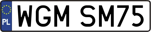 WGMSM75