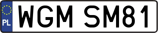 WGMSM81
