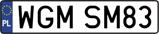 WGMSM83