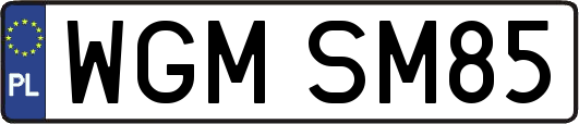 WGMSM85