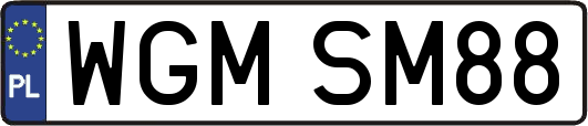 WGMSM88