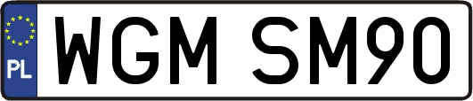 WGMSM90