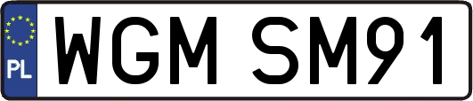 WGMSM91
