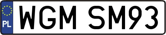 WGMSM93