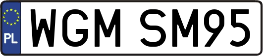 WGMSM95