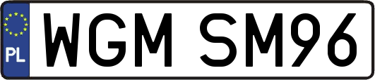 WGMSM96
