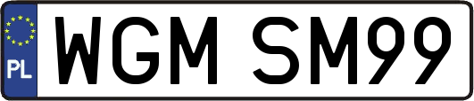WGMSM99