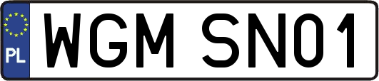 WGMSN01