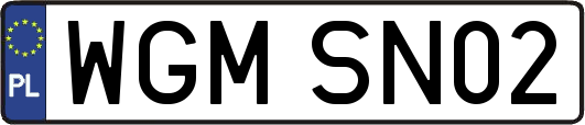 WGMSN02